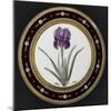 Service to the Empress Josephine Liacées: Iris Susa-null-Mounted Giclee Print