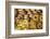 Sesame Round Bread in the Old City, Jerusalem, Israel, Middle East-Yadid Levy-Framed Photographic Print