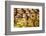 Sesame Round Bread in the Old City, Jerusalem, Israel, Middle East-Yadid Levy-Framed Photographic Print