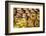 Sesame Round Bread in the Old City, Jerusalem, Israel, Middle East-Yadid Levy-Framed Photographic Print