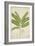 Sesbonia Grandiflora Pers, 1800-10-null-Framed Giclee Print