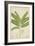 Sesbonia Grandiflora Pers, 1800-10-null-Framed Giclee Print