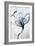 Set in Bloom II-Joshua Schicker-Framed Giclee Print