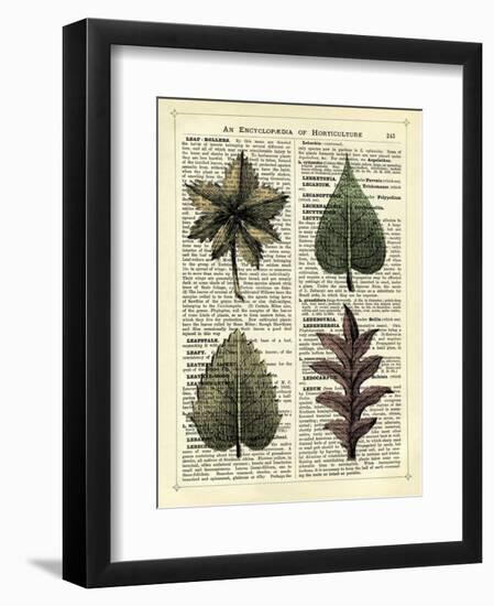 Set of 4 Leaves-Marion Mcconaghie-Framed Art Print
