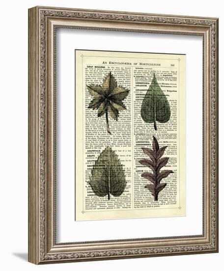 Set of 4 Leaves-Marion Mcconaghie-Framed Art Print