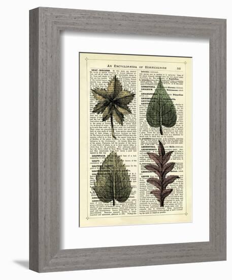 Set of 4 Leaves-Marion Mcconaghie-Framed Art Print