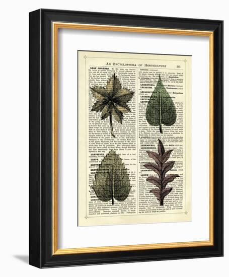 Set of 4 Leaves-Marion Mcconaghie-Framed Art Print