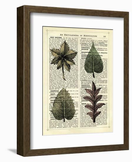 Set of 4 Leaves-Marion Mcconaghie-Framed Art Print