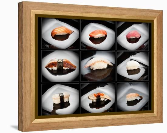 Set Of 9 Different Nigirizushi (Sushi)-Lev4-Framed Stretched Canvas