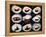 Set Of 9 Different Nigirizushi (Sushi)-Lev4-Framed Stretched Canvas