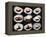 Set Of 9 Different Nigirizushi (Sushi)-Lev4-Framed Stretched Canvas