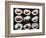Set Of 9 Different Nigirizushi (Sushi)-Lev4-Framed Art Print