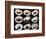 Set Of 9 Different Nigirizushi (Sushi)-Lev4-Framed Art Print
