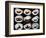 Set Of 9 Different Nigirizushi (Sushi)-Lev4-Framed Art Print