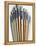 Set of Artist Paintbrushes Fan Out-Winfred Evers-Framed Premier Image Canvas