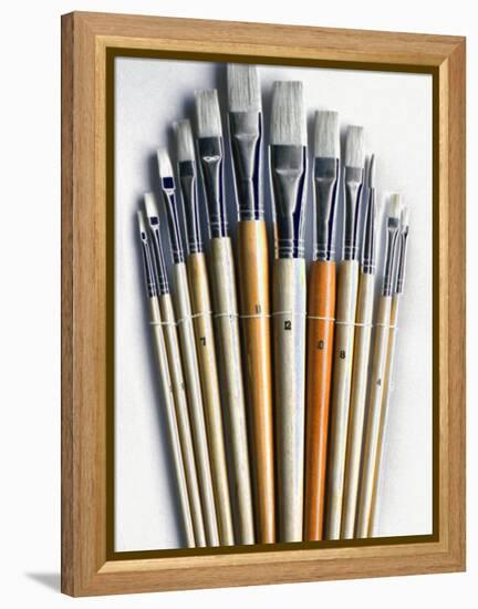 Set of Artist Paintbrushes Fan Out-Winfred Evers-Framed Premier Image Canvas