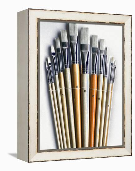 Set of Artist Paintbrushes Fan Out-Winfred Evers-Framed Premier Image Canvas