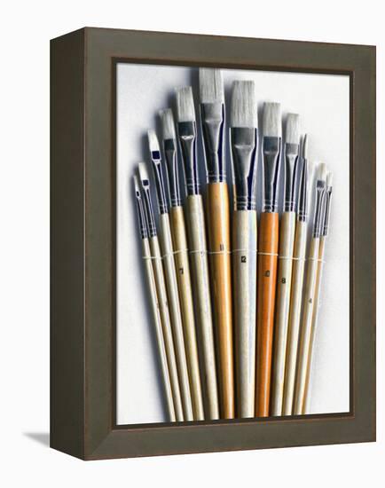 Set of Artist Paintbrushes Fan Out-Winfred Evers-Framed Premier Image Canvas