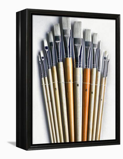 Set of Artist Paintbrushes Fan Out-Winfred Evers-Framed Premier Image Canvas