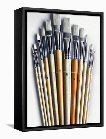 Set of Artist Paintbrushes Fan Out-Winfred Evers-Framed Premier Image Canvas