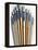 Set of Artist Paintbrushes Fan Out-Winfred Evers-Framed Premier Image Canvas