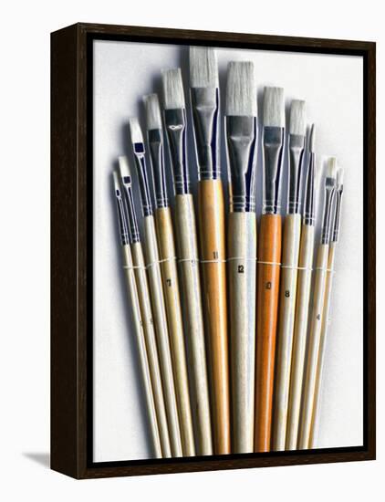 Set of Artist Paintbrushes Fan Out-Winfred Evers-Framed Premier Image Canvas