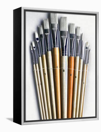 Set of Artist Paintbrushes Fan Out-Winfred Evers-Framed Premier Image Canvas