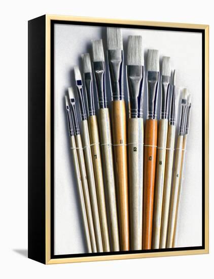 Set of Artist Paintbrushes Fan Out-Winfred Evers-Framed Premier Image Canvas