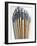 Set of Artist Paintbrushes Fan Out-Winfred Evers-Framed Photographic Print