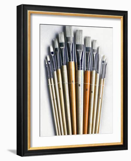 Set of Artist Paintbrushes Fan Out-Winfred Evers-Framed Photographic Print