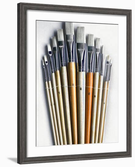 Set of Artist Paintbrushes Fan Out-Winfred Evers-Framed Photographic Print