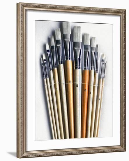 Set of Artist Paintbrushes Fan Out-Winfred Evers-Framed Photographic Print