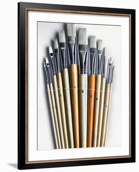 Set of Artist Paintbrushes Fan Out-Winfred Evers-Framed Photographic Print