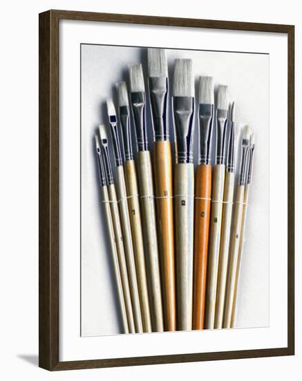 Set of Artist Paintbrushes Fan Out-Winfred Evers-Framed Photographic Print