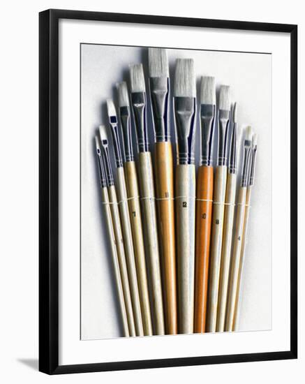 Set of Artist Paintbrushes Fan Out-Winfred Evers-Framed Photographic Print