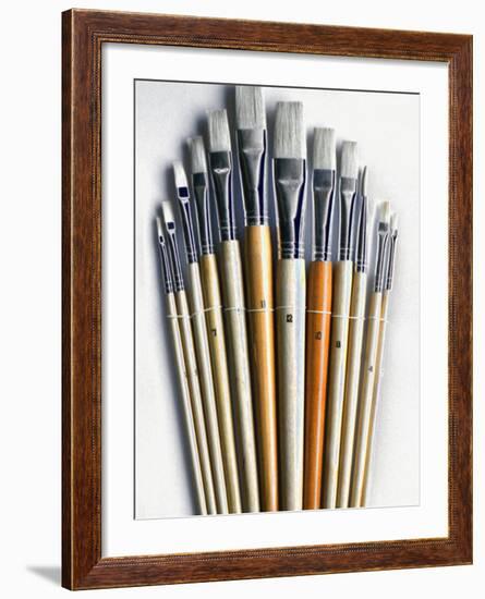 Set of Artist Paintbrushes Fan Out-Winfred Evers-Framed Photographic Print