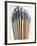 Set of Artist Paintbrushes Fan Out-Winfred Evers-Framed Photographic Print