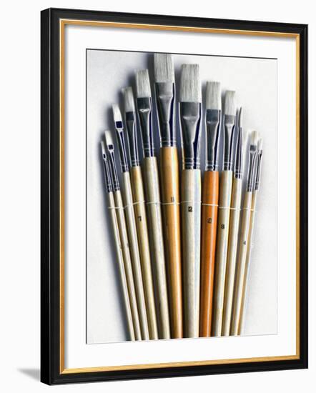 Set of Artist Paintbrushes Fan Out-Winfred Evers-Framed Photographic Print