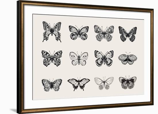 Set of Butterflies. Vector Vintage Classic Illustration. Black and White-Olga Korneeva-Framed Art Print