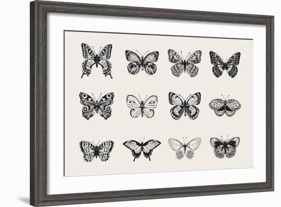 Set of Butterflies. Vector Vintage Classic Illustration. Black and White-Olga Korneeva-Framed Art Print