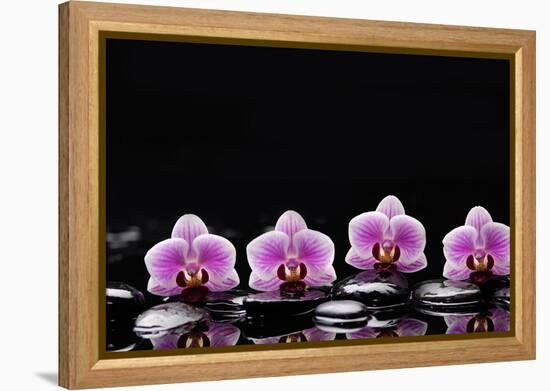 Set of Four Orchid with Therapy Stones-crystalfoto-Framed Premier Image Canvas