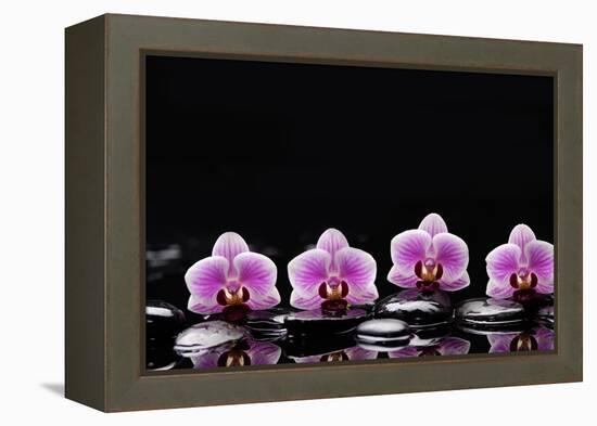 Set of Four Orchid with Therapy Stones-crystalfoto-Framed Premier Image Canvas