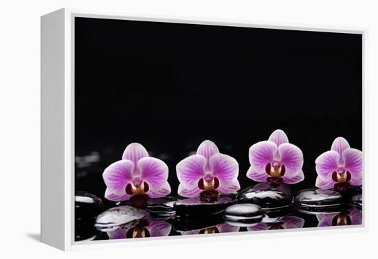 Set of Four Orchid with Therapy Stones-crystalfoto-Framed Premier Image Canvas