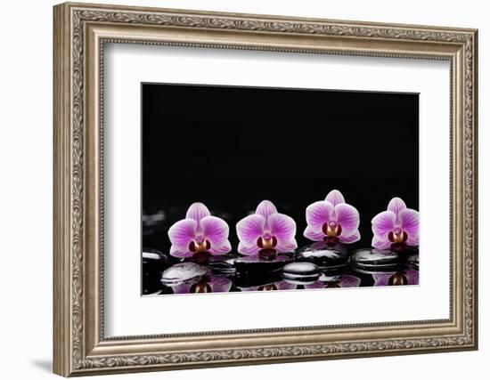 Set of Four Orchid with Therapy Stones-crystalfoto-Framed Photographic Print