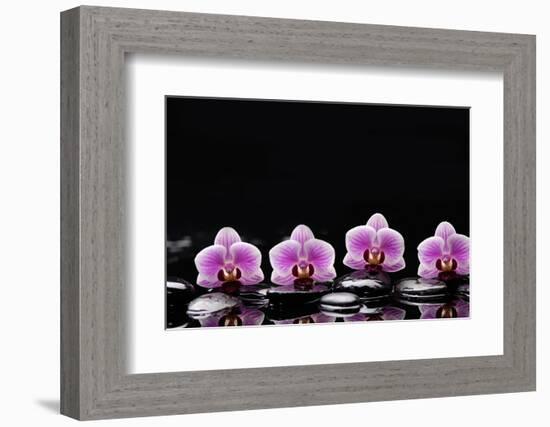 Set of Four Orchid with Therapy Stones-crystalfoto-Framed Photographic Print