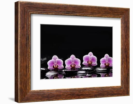 Set of Four Orchid with Therapy Stones-crystalfoto-Framed Photographic Print