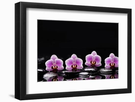 Set of Four Orchid with Therapy Stones-crystalfoto-Framed Photographic Print