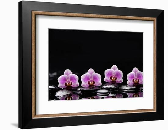 Set of Four Orchid with Therapy Stones-crystalfoto-Framed Photographic Print