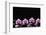 Set of Four Orchid with Therapy Stones-crystalfoto-Framed Photographic Print