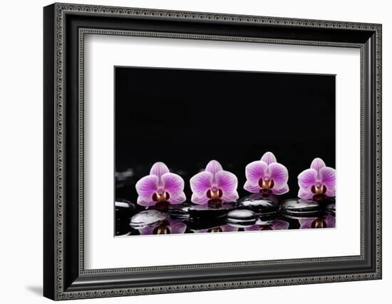 Set of Four Orchid with Therapy Stones-crystalfoto-Framed Photographic Print